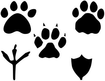 Footprints Wildlife and Waterfowl Solutions